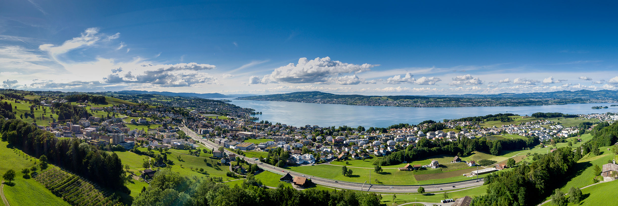View from ProActys office, Feusisberg